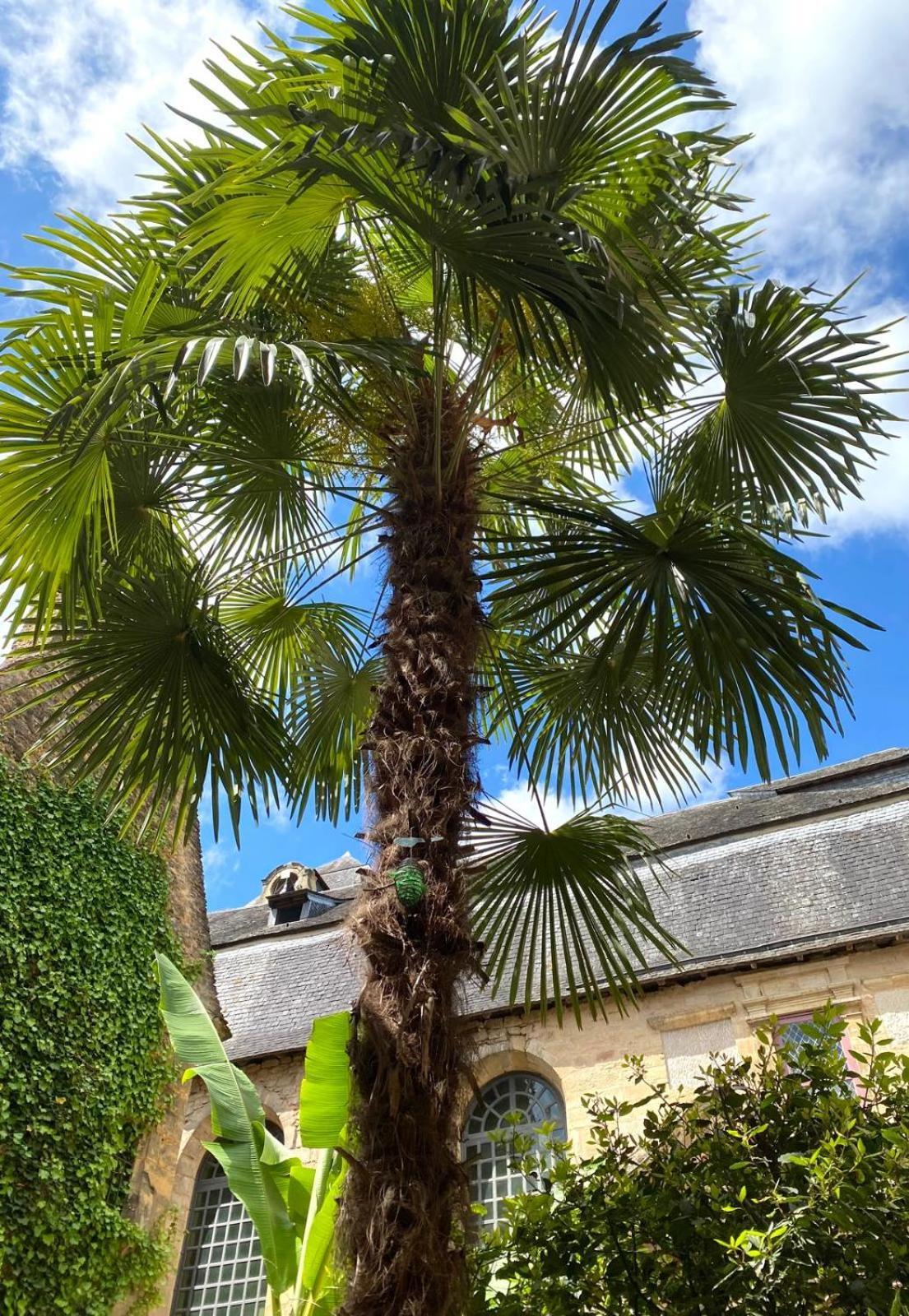 La Villa Des Consuls - Gite De Tourisme De Charme Sarlat-la-Canéda Zewnętrze zdjęcie